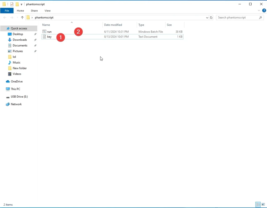 Prepare the installation of PhantomScript