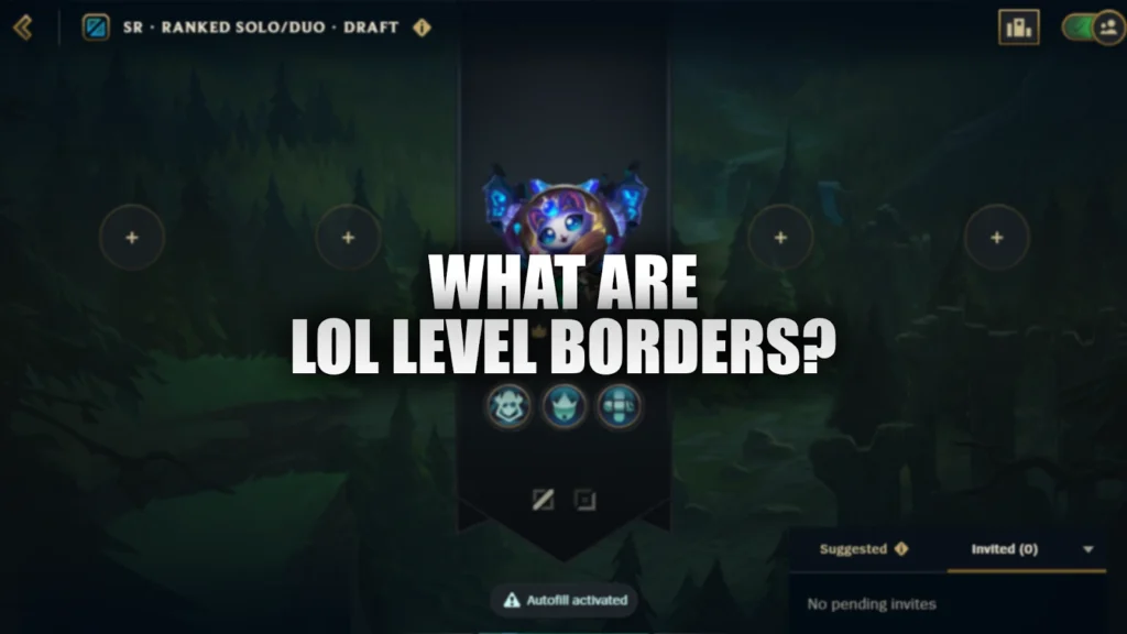 what are lvl borders